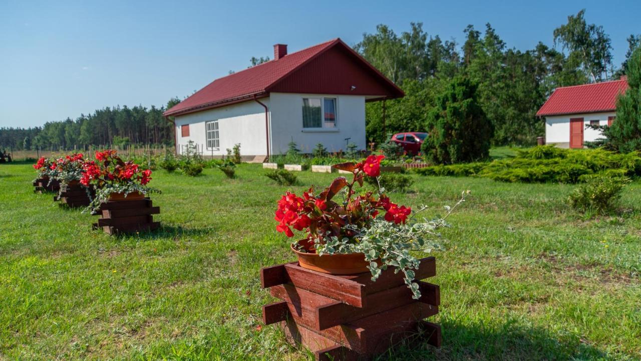 Siedlisko Pod Lasem Zwierzyniec Buitenkant foto