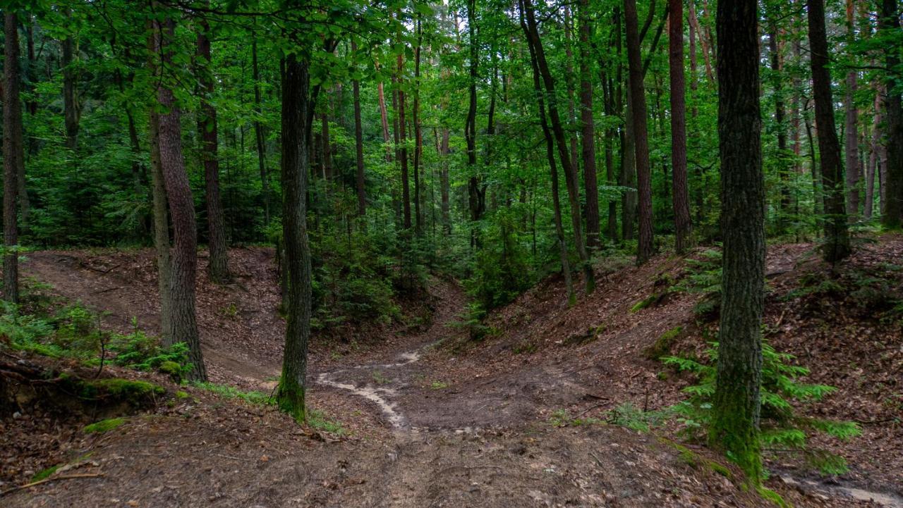 Siedlisko Pod Lasem Zwierzyniec Buitenkant foto